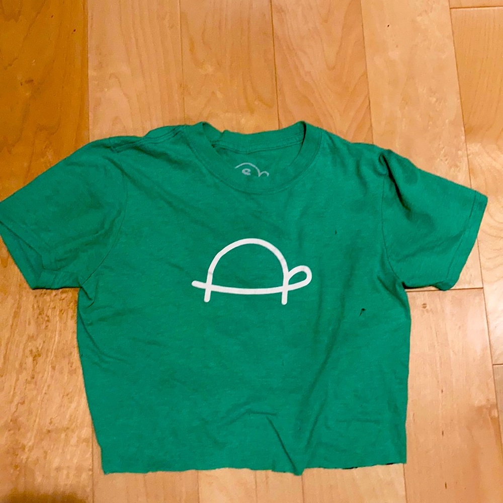 Sandy turtle crop